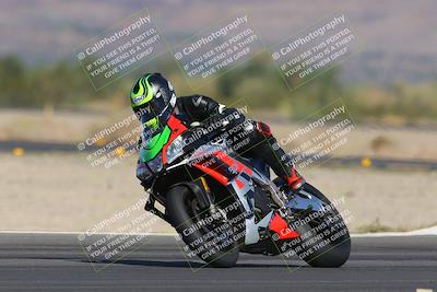 media/Nov-12-2023-SoCal Trackdays (Sun) [[5d1fba4e7d]]/Turn 14 (1035am)/